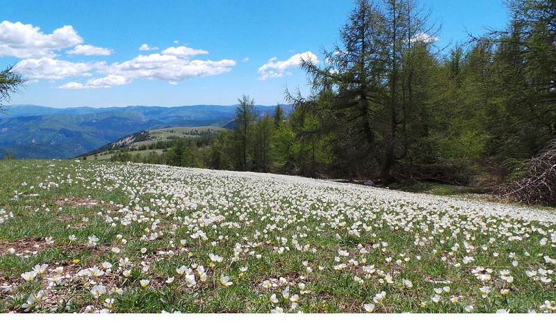 Le Puy de Rent depuis Allons