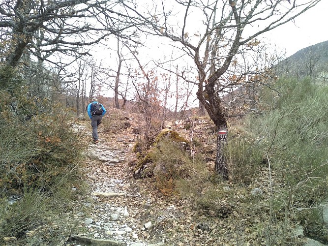 Le GR4 juste après la chapelle Notre Dame de la Rivière