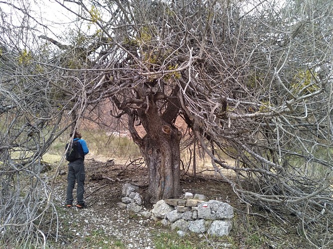 En chemin dans la montée