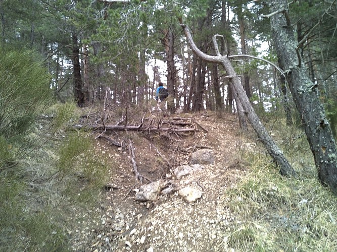 Pente ravinée juste avant l'arrivée au col