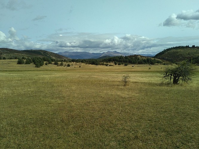 Le Plateau de La Palud