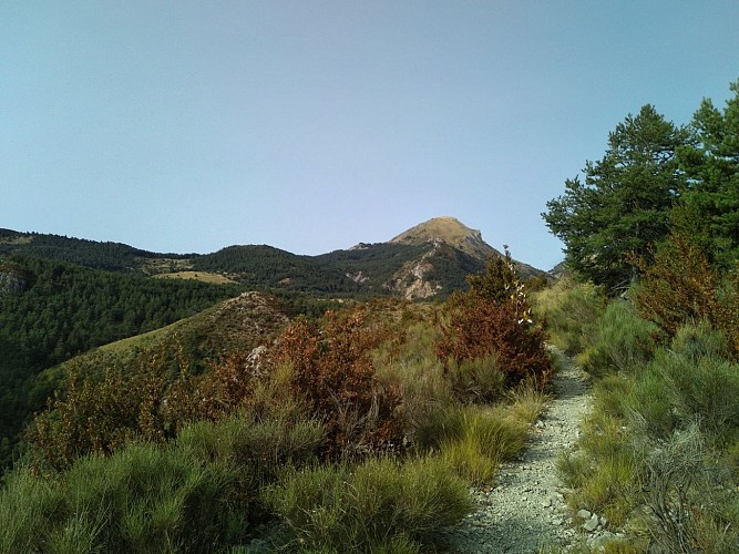 Le Plateau de La Palud