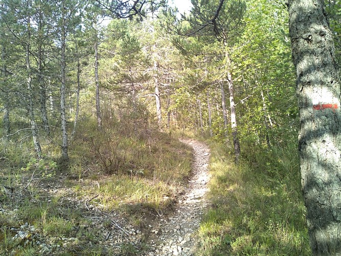 Randonnée Plateau de la Palud