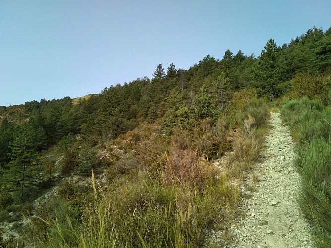 Randonnée Plateau de la Palud