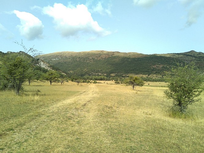 Le Plateau de La Palud