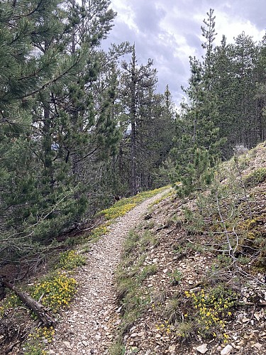 Layon - Château-Garnier