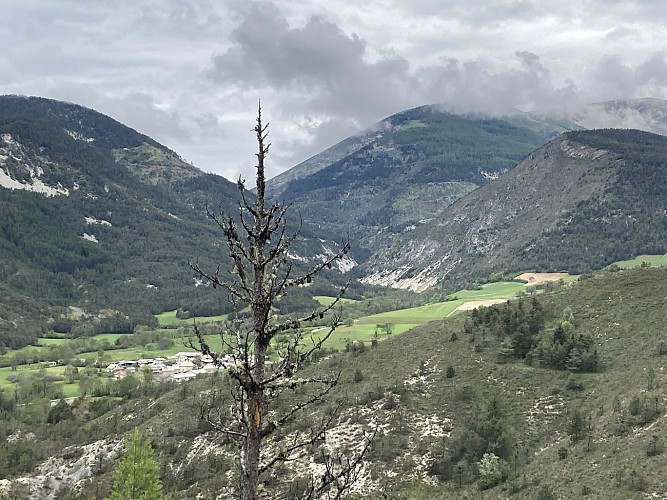 Layon - Château-Garnier