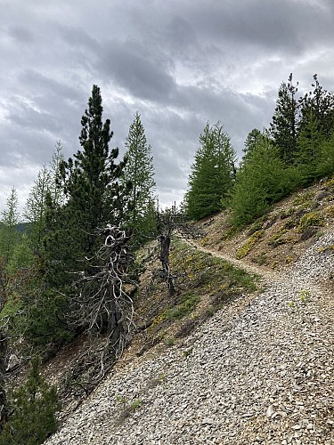 Layon - Château-Garnier