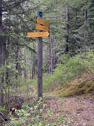 Layon - Château-Garnier