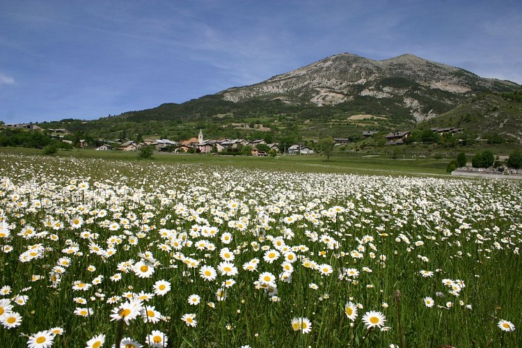 Liaison des Thorames