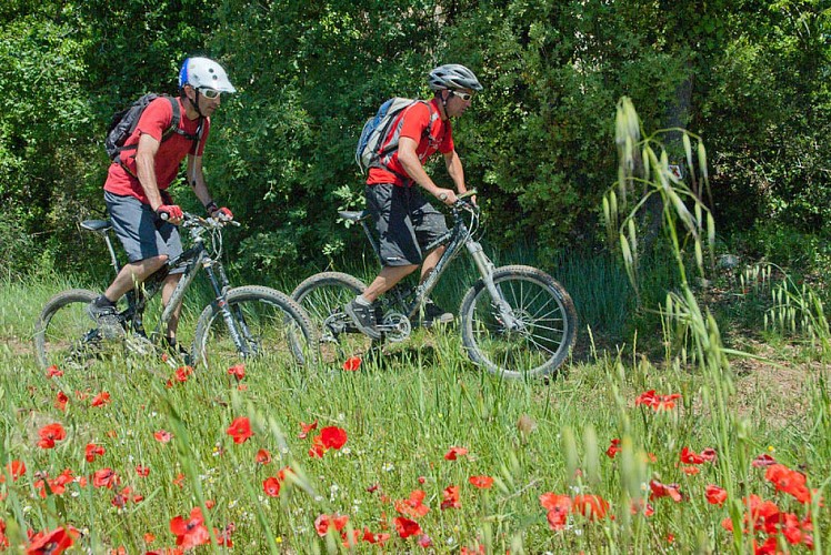 Le Plan de Saint André les Alpes