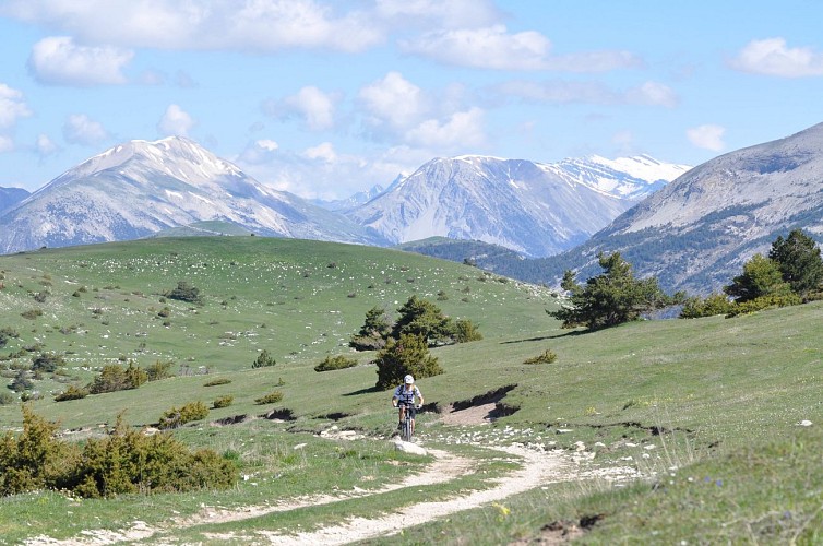 De Maurel au Chalvet