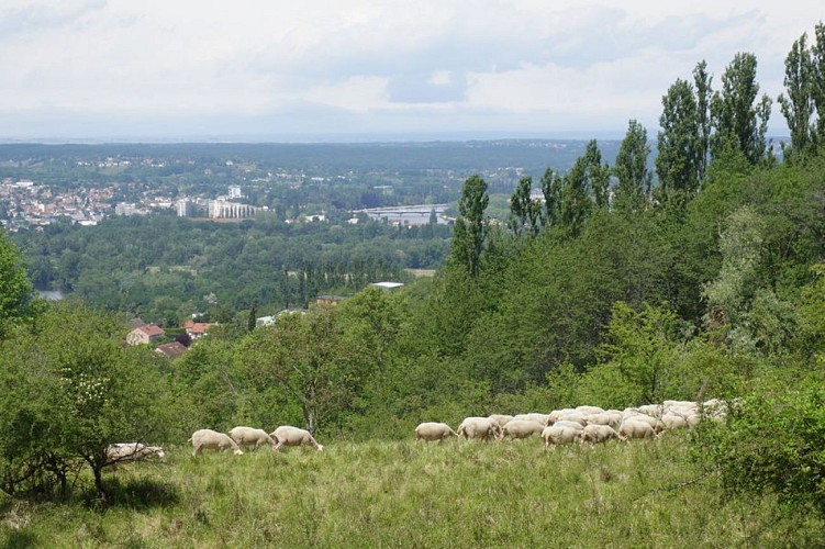 Côte Saint-Amand