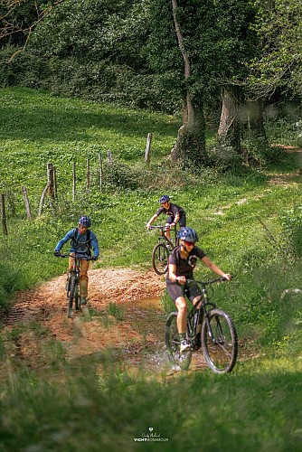 Chemin à la Guillermie