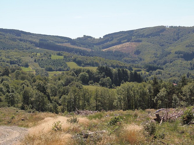Point de vue à La Guillermie