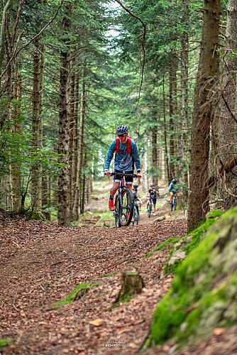 Les Bois Noirs à Lavoine