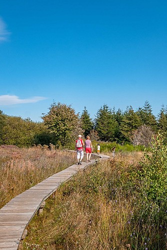 La tourbière de Saint-Nicolas-des-Biefs