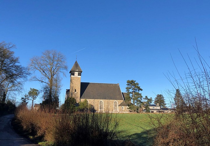 Forêt domaniale à Marche-les-Dames - Val et Oli