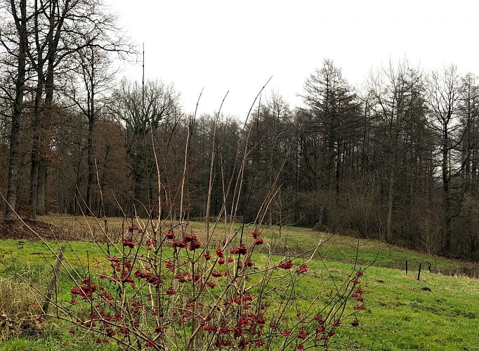 Entre Saint-Denis et Casteau - Val et Oli