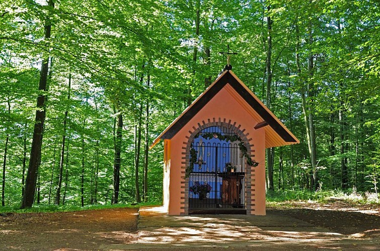 Aubange : Le Clémarais