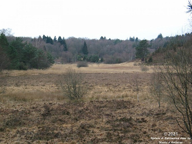 Circuit de la Tourbière des Dauges