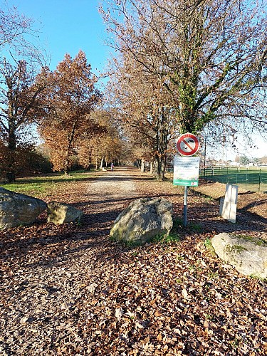 Vélo Voie verte du Tarn