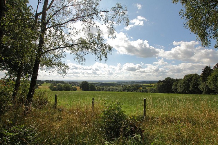 Fléron-Balade du Fond du Pucet F15-2