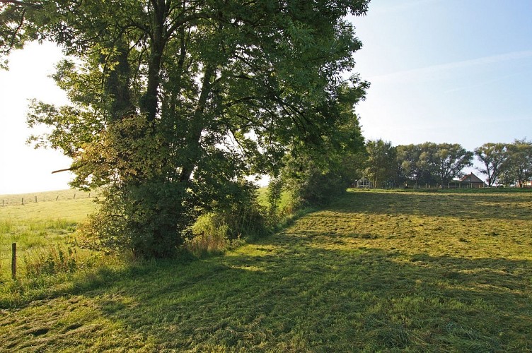Fléron-Balade du Fond du Pucet F15-1