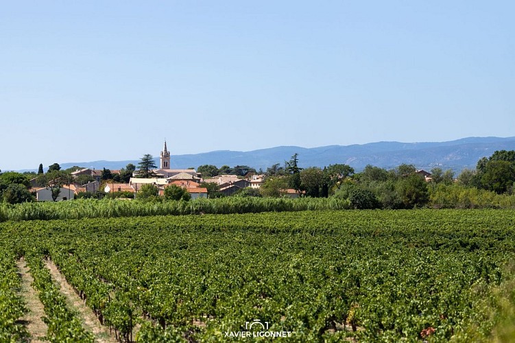 RANDONNÉE TOUR EN MINERVOIS - GR® DE PAYS MINERVOIS, SAINT-CHINIAN, FAUGÈRES