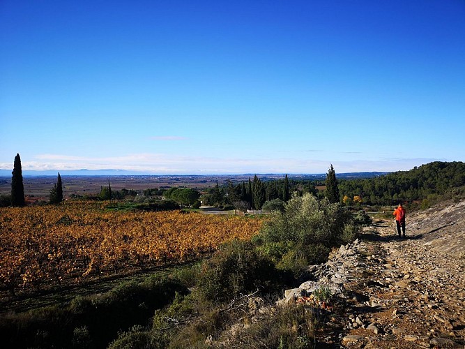 RANDONNÉE TOUR EN MINERVOIS - GR® DE PAYS MINERVOIS, SAINT-CHINIAN, FAUGÈRES