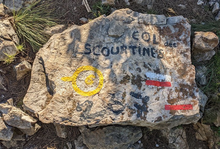 Randonnée vers Sormiou depuis les Baumettes