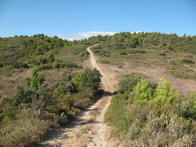 Marble Trail – Loop of Trausse