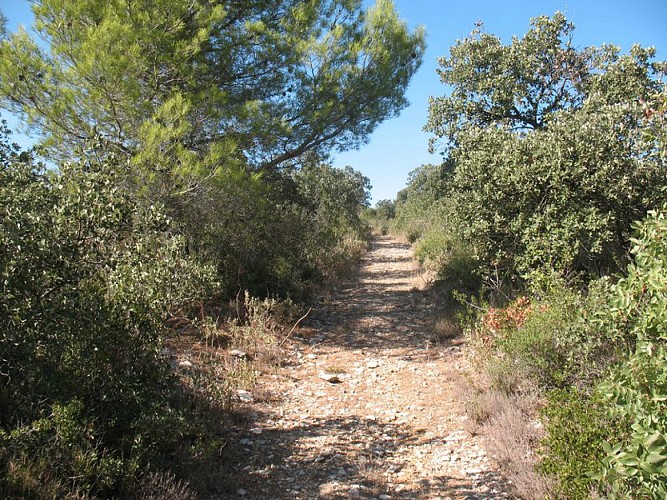 Sentier du Marbre - Boucle de Trausse