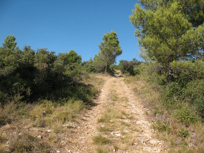 Sentier du Marbre - Boucle de Trausse