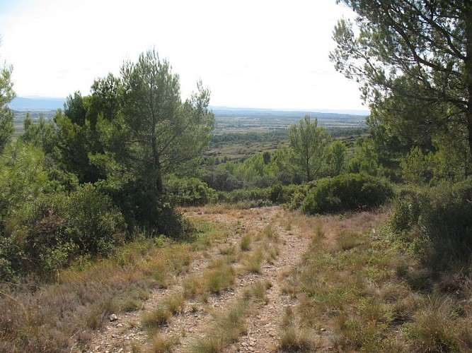 Sentier du Marbre - Boucle de Trausse