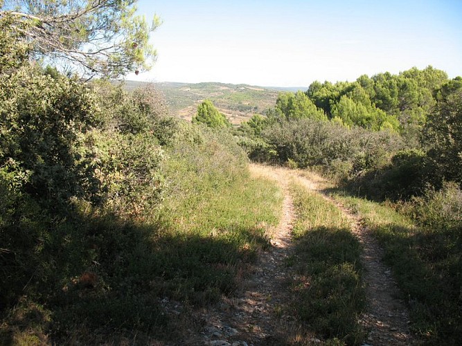 Sentier du Marbre - Boucle de Trausse