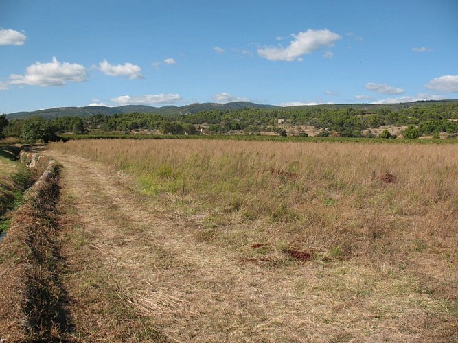 Sentier du Marbre - Boucle de Trausse