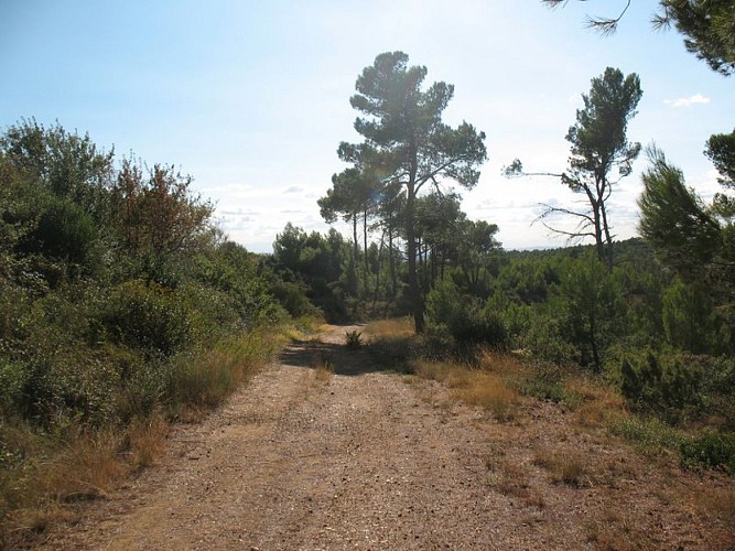 Sentier du Marbre - Boucle de Trausse