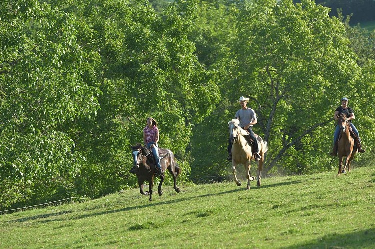 Randonnée équestre