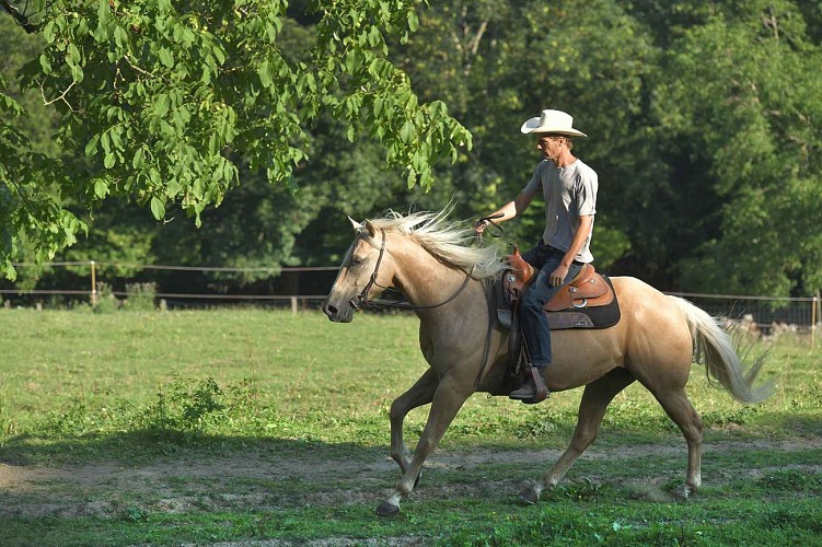 Randonnée équestre