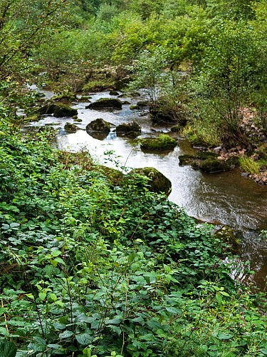 Autour du plan d'eau de Saint-Clément