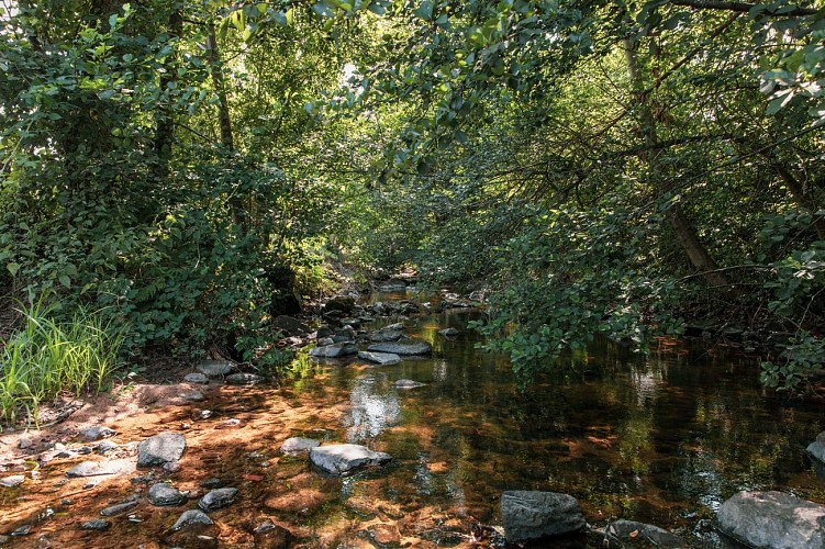 Le Barbenan à Châtelus