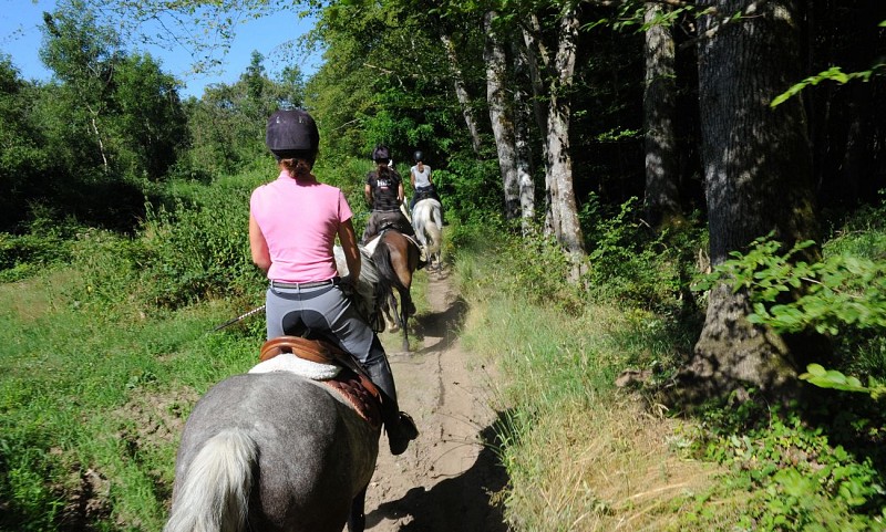 Randonnée équestre à la Guillermie