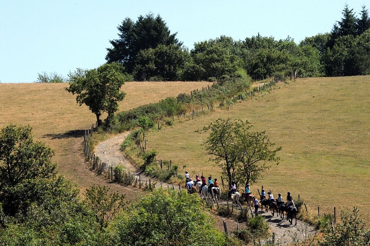 Randonnée équestre à la Guillermie