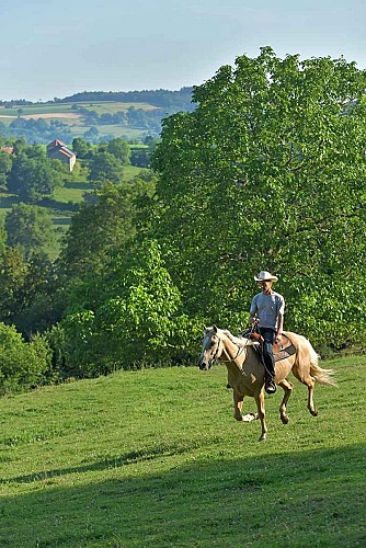 Randonnée équestre à Ferrières-sur-Sichon