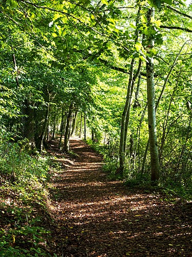 Autour du plan d'eau de Saint-Clément