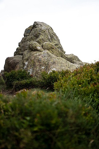 Le roc du Vacher à Saint-Nicolas-des-Biefs