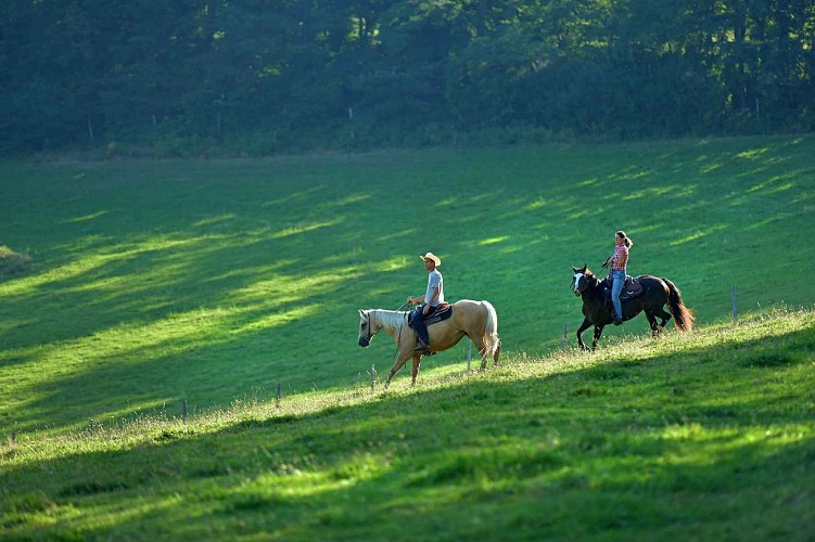 Randonnée équestre à Ferrières-sur-Sichon