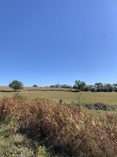 Sur le Chemin de Montavents - Maillet_Haut-Bocage