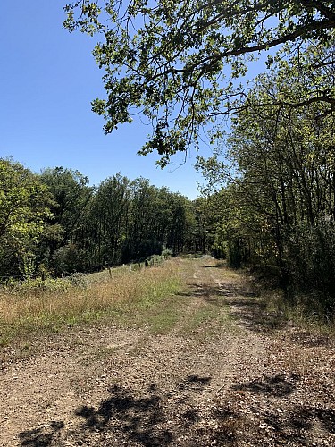 Sur le Chemin de Montavents - Maillet_Haut-Bocage